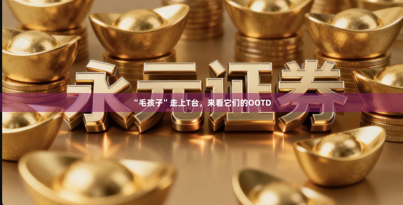 “毛孩子”走上T台，来看它们的OOTD